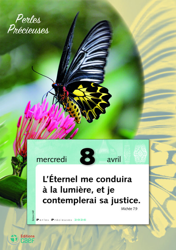 Perles précieuses – Image 4