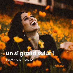 Choix