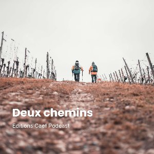 Choix