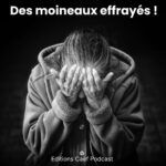 Choix