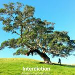 Interdiction