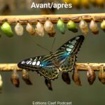 Avant/après