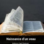 Naissance d’un veau