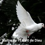 Editions Caef Podcast