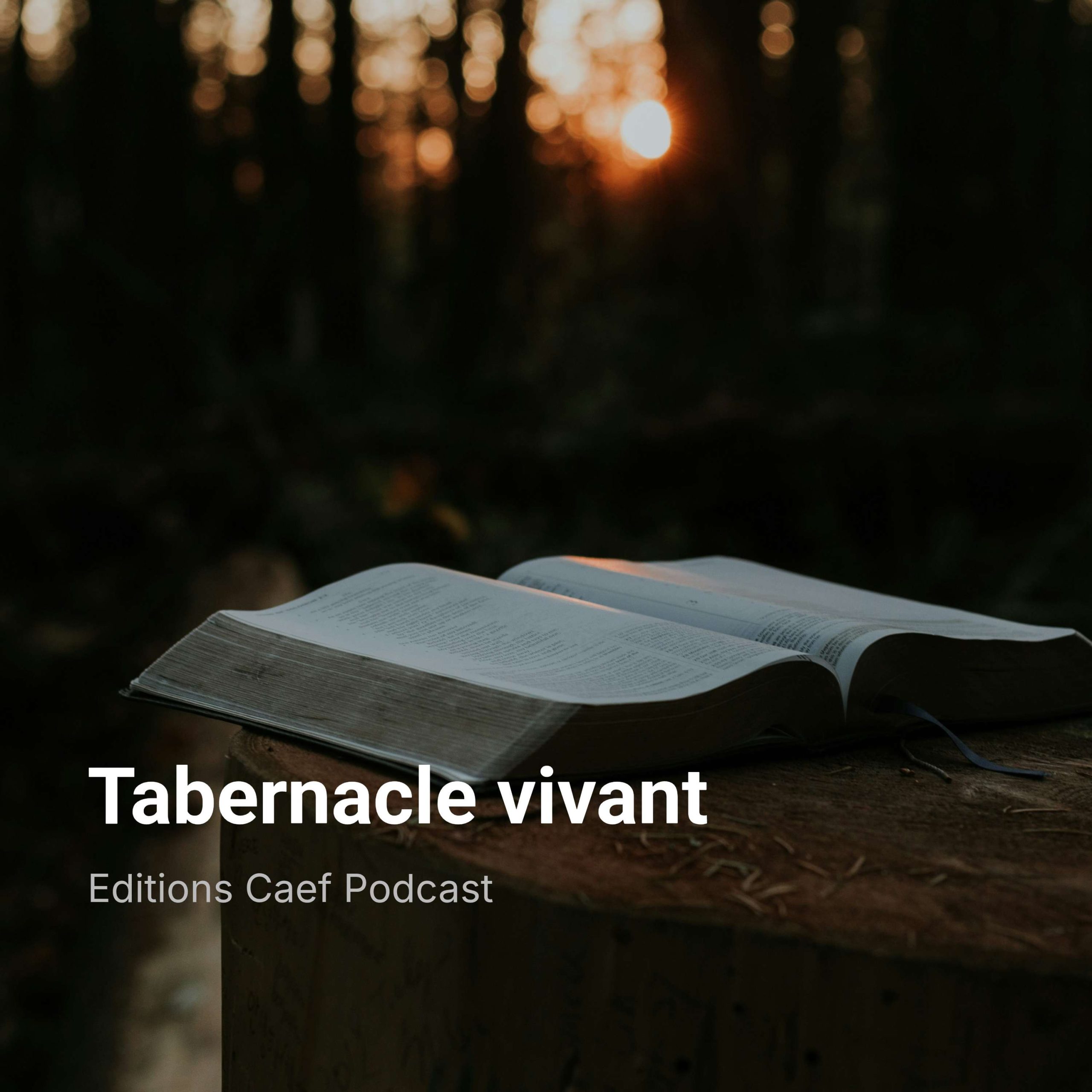 Tabernacle vivant episode artwork