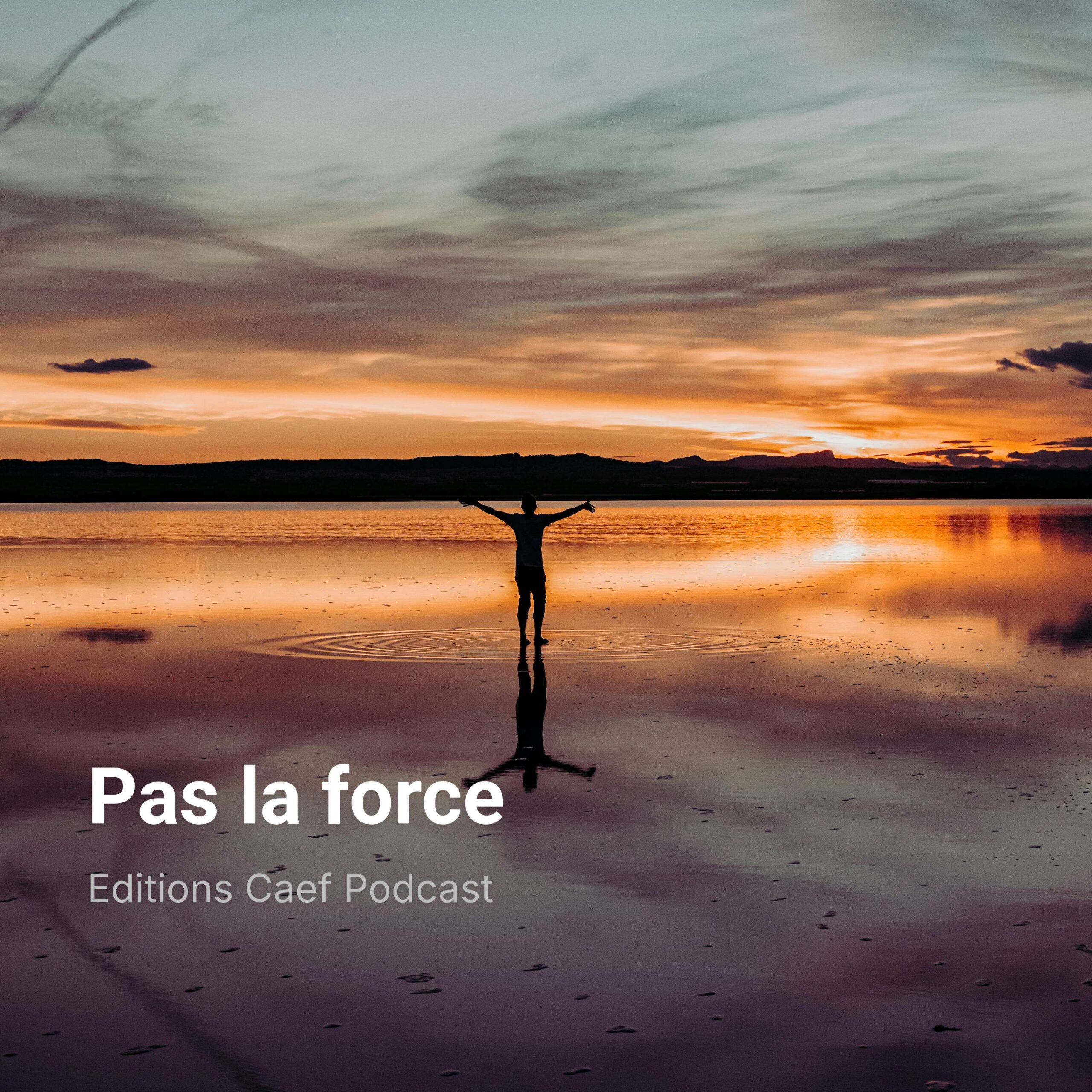 Pas la force episode artwork