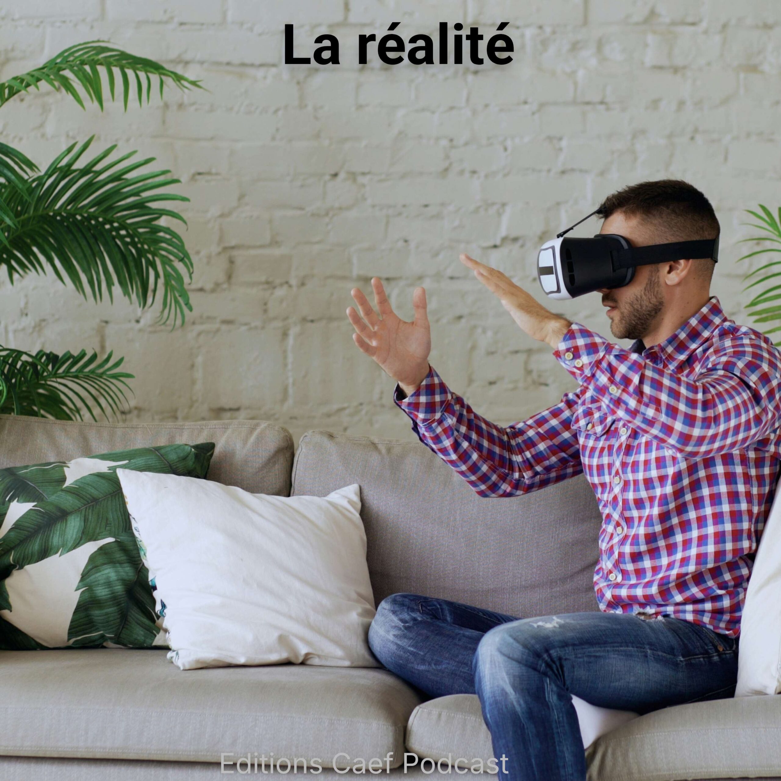 La réalité episode artwork