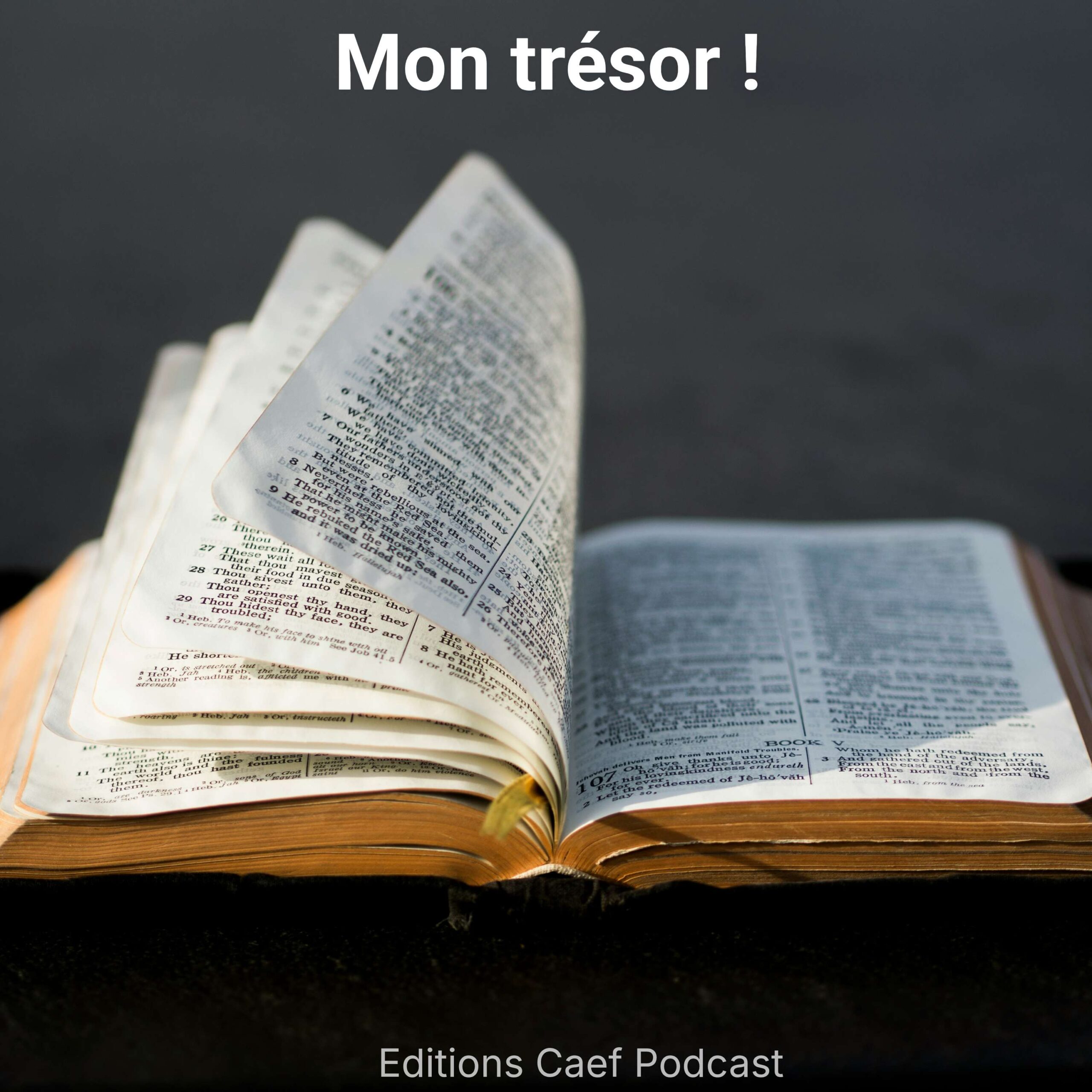 Mon trésor ! episode artwork
