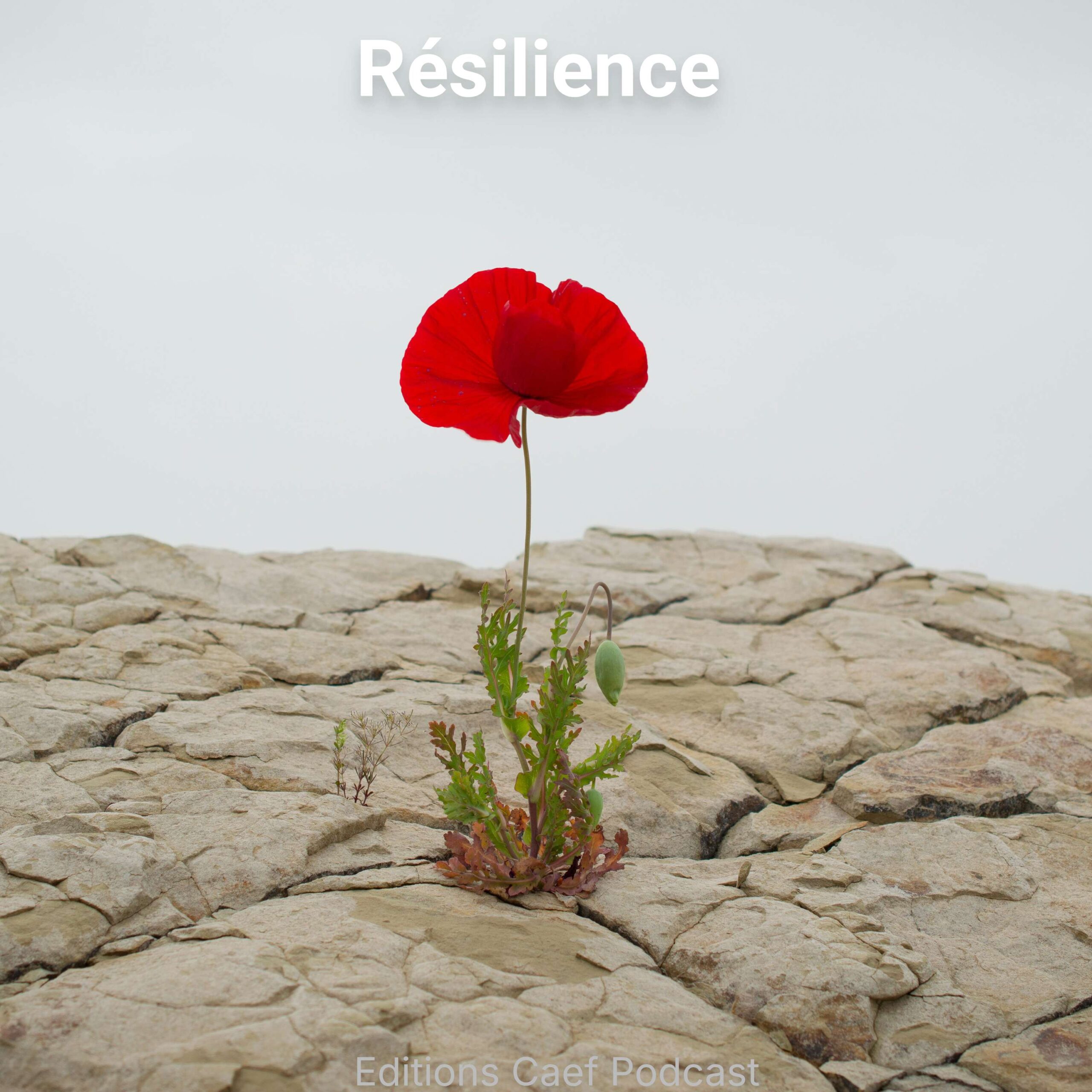 Résilience episode artwork
