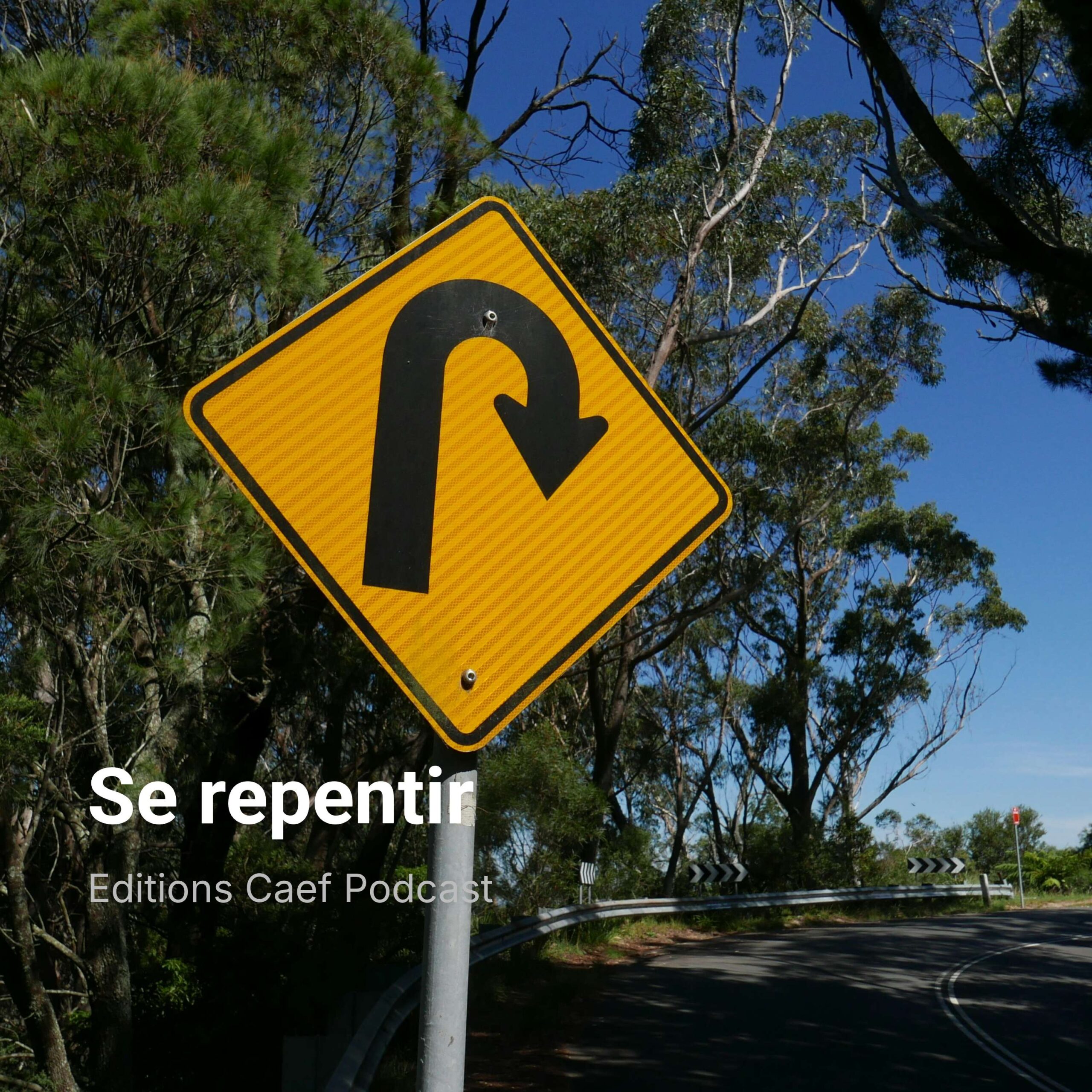 Se repentir episode artwork